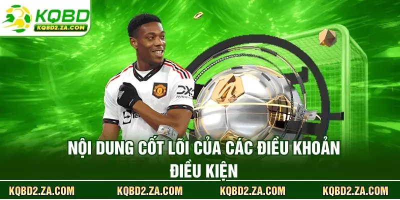 Nội dung cốt lõi của các điều khoản điều kiện